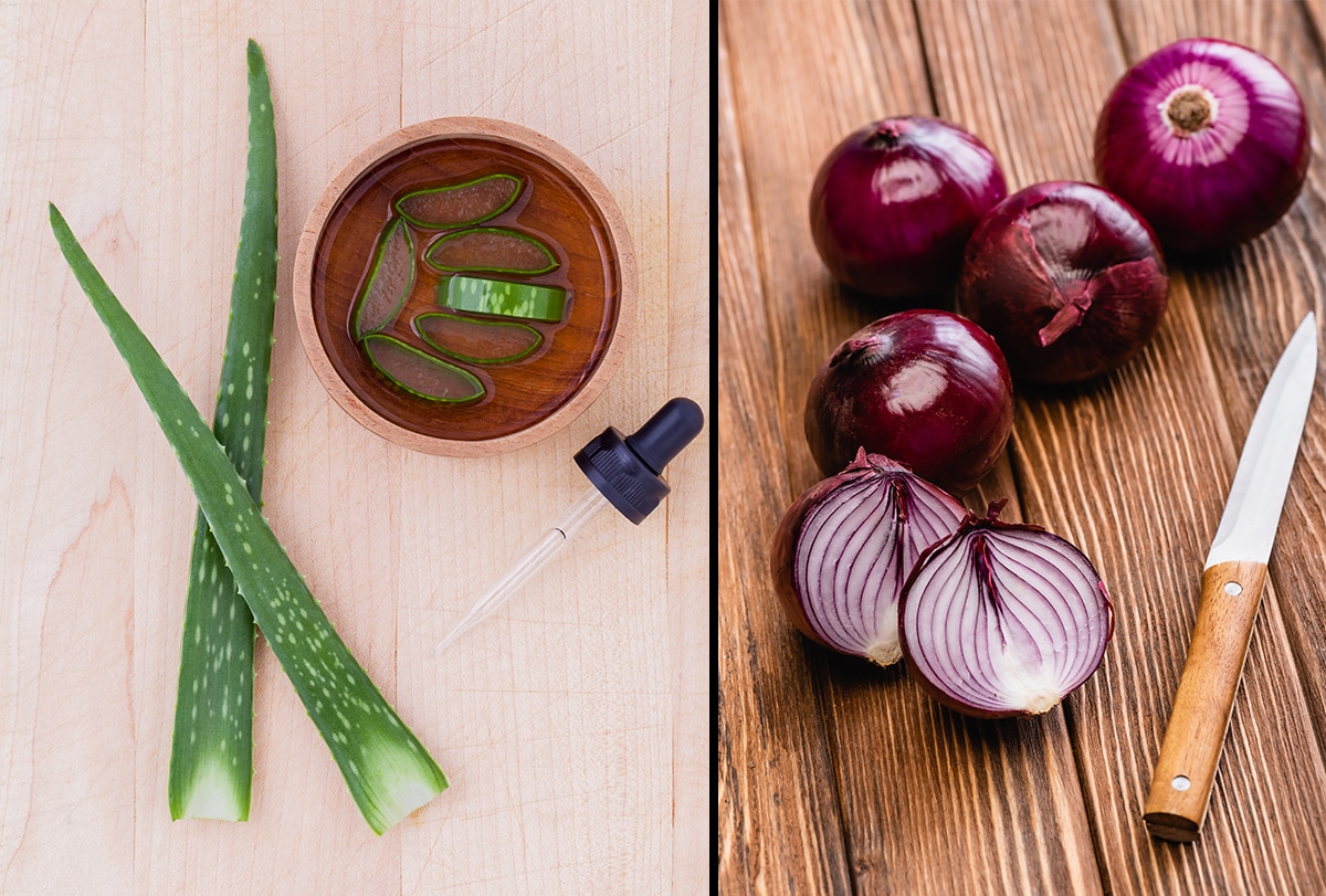 Onion and Aloe Vera for Hair Growth: Benefits and How to Use Them