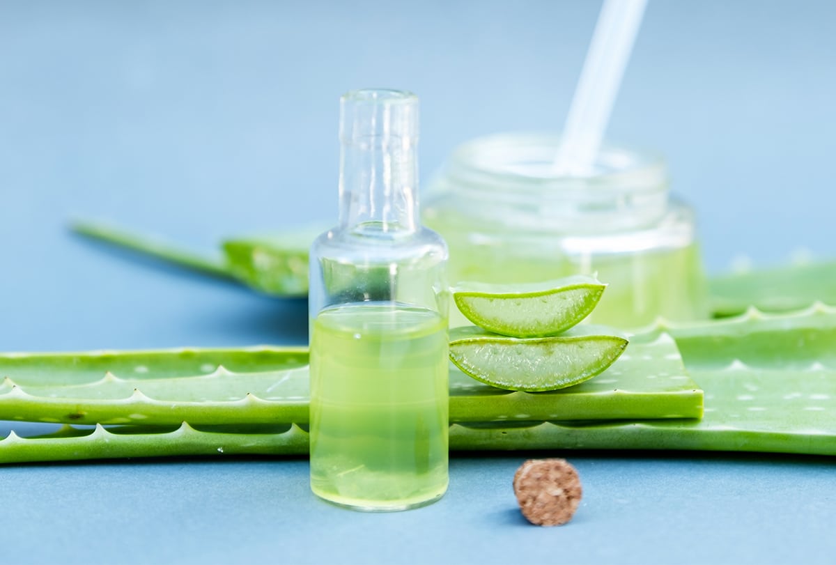 6 Ways to Use Aloe Vera for Dry Scalp