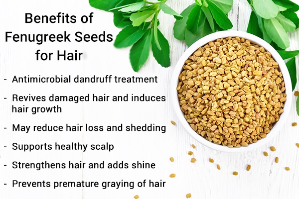 6 Benefits of Fenugreek Seeds for Hair