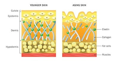 Simple strategies to Restore Collagen throughout the Face