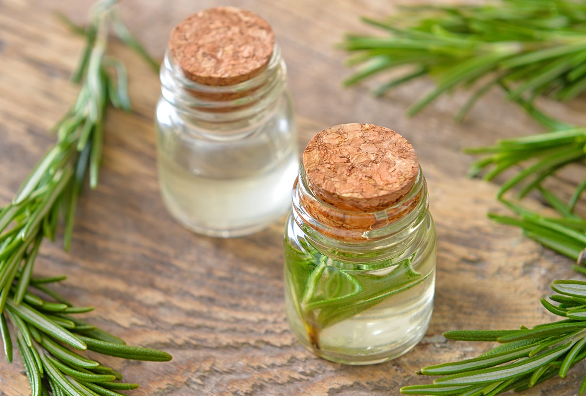 Rosemary Hair Rinse: How to Make It and Its Benefits